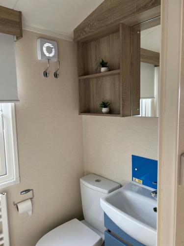 a bathroom with a toilet and a sink and a mirror at Cjs family caravans in Ayr