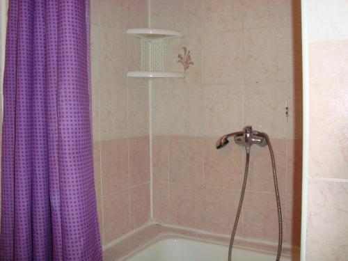a bathroom with a shower with a purple shower curtain at Penzion Adria in Turčianske Teplice