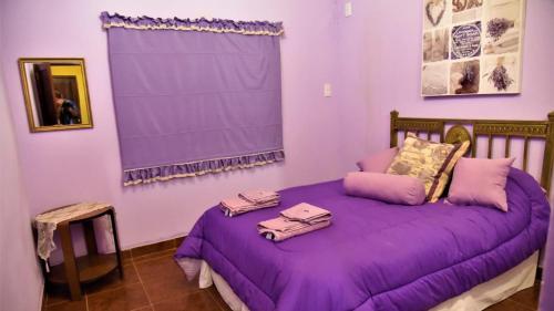 een paarse slaapkamer met een bed met paarse lakens bij Sueño Iberá in Colonia Carlos Pellegrini