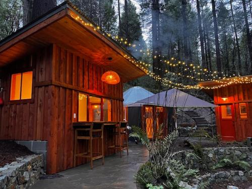 a wooden cabin in the woods with christmas lights at Magical Yurt in the woods - 2 miles from town in Nevada City