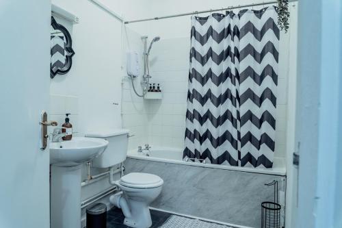 a bathroom with a toilet and a shower curtain at 1 bedroom flat in City Centre in Birmingham