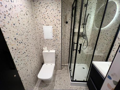 a bathroom with a toilet and a sink and a shower at Apartament Dworcowa in Konin