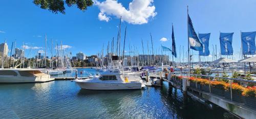 un gruppo di imbarcazioni ormeggiate in un porto turistico di Contemporary Harbourside Apartment a Sydney