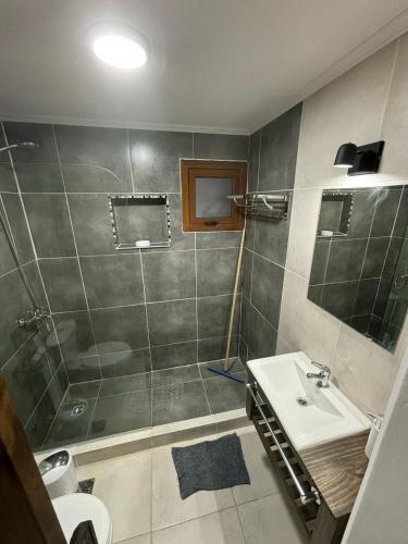 a bathroom with a sink and a shower at Complejo Del Este Suites in San Carlos de Bariloche