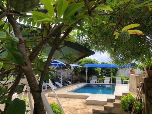 uma piscina num quintal com cadeiras e guarda-sóis em 4 Rooms + Pool in private historic Villa em Mombasa