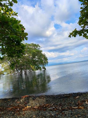 a view of a body of water with trees in it at Casa Osa Azul in Puerto Jiménez