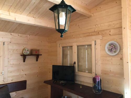 um quarto com uma parede de madeira, uma televisão e um candeeiro em One bedroom property with enclosed garden and wifi at Falgaroso Da Serra Mortagua em Mortágua