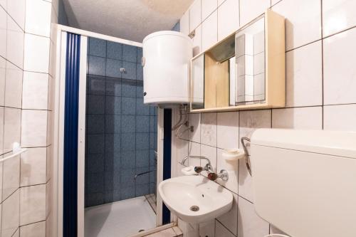 馬羅沃伊羅的住宿－Mountain Lodge - Mavrovo，一间带卫生间和水槽的小浴室
