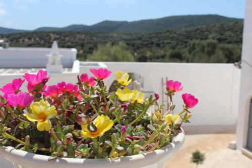 a white bowl filled with colorful flowers on a balcony at Masseria Parco della Grava in Pezze di Greco
