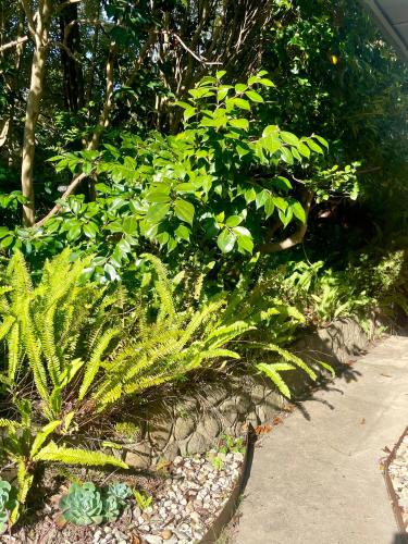 Un jardín fuera de Yarra Valley Events Accommodation comfortably suits 6 Adults or Family Newly Renovated with linen & towels supplied Welcome to No 4
