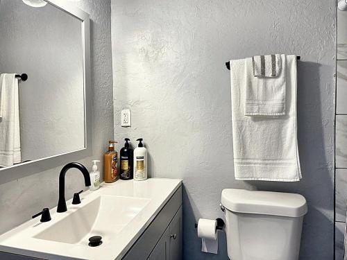 bagno con lavandino, servizi igienici e specchio di Spring Break Retreat Studio Rainfall Shower a Oklahoma City
