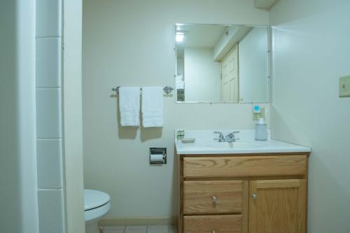 a bathroom with a sink and a toilet and a mirror at Swift River Suites in Rumford