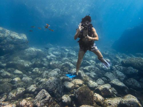 una mujer tomando una foto de un arrecife de coral en Sealion Dive Center, en Topolobampo