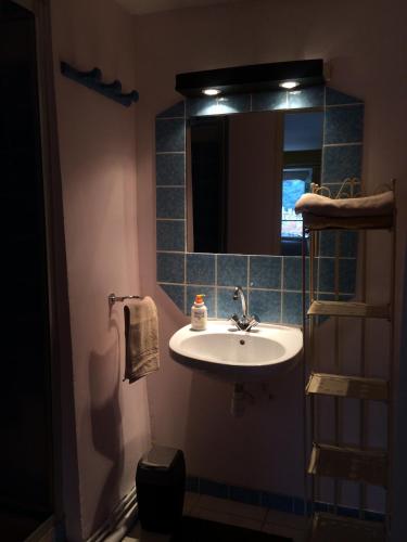 une salle de bain avec un lavabo et un miroir dans l'établissement Au détour Du Larrech, à Castillon-en-Couserans