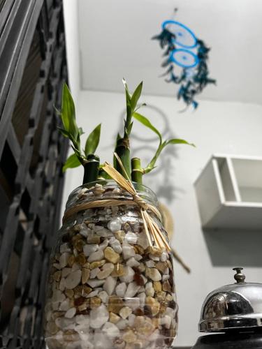 a glass jar filled with rocks and plants at Center Hostel Sp in Sao Paulo