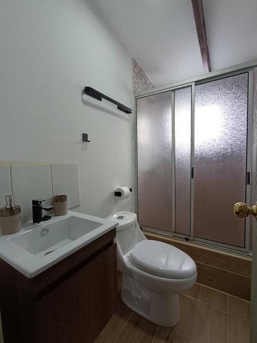 La salle de bains est pourvue de toilettes, d'un lavabo et d'une douche. dans l'établissement Punto clave 3, à Ancud
