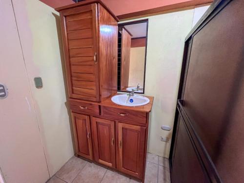 uma casa de banho com um lavatório e um espelho em Ruta Corcovado em Puerto Jiménez