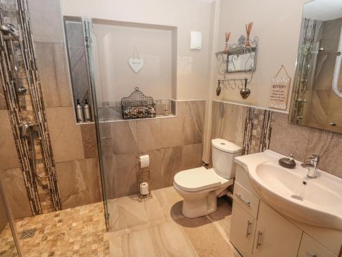 a bathroom with a shower and a toilet and a sink at Garden View in Pembroke