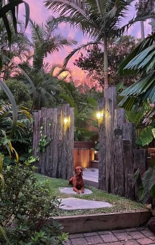 a dog sitting on a sidewalk in a garden at Beach Jungle - Pet-Friendly Hot Tub, Firepit & Pool in Beachside Hideaway in Byron Bay