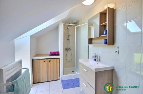 ein Bad mit einer Dusche und einem Waschbecken in der Unterkunft Casa camelias in Limerzel