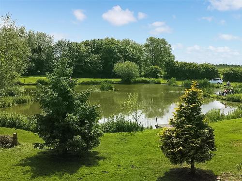 um lago num parque com duas árvores ao lado em Buzzard - Uk41951 em Louth