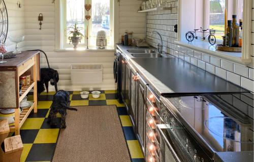 3 Bedroom Stunning Home In Degerhamn في Degerhamn: مطبخ مع كلب يجلس على أرضية متقلصة