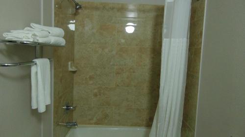 La salle de bains est pourvue d'une douche avec une baignoire et un rideau de douche. dans l'établissement Corcoran Country Inn, à Corcoran