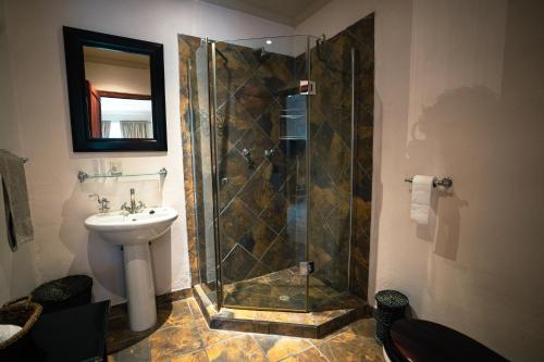 a bathroom with a shower and a sink at Olive Grove Guest Farm in Beaufort West