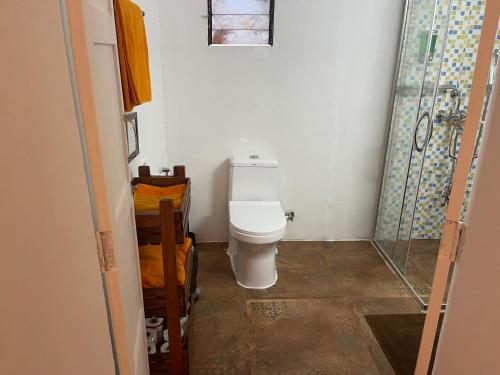 a small bathroom with a toilet and a shower at Art village resort Goa in Canacona