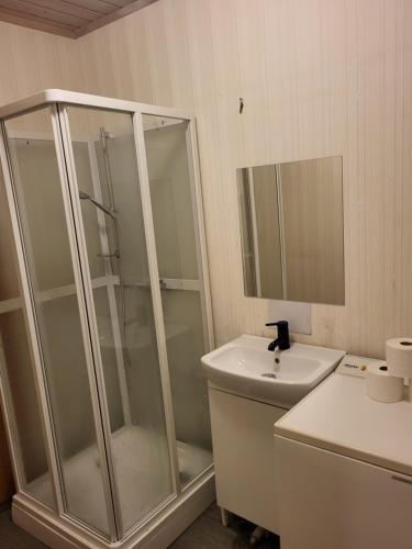 uma casa de banho com uma cabina de duche em vidro e um lavatório. em One Bedroom Apartment Kjeller Lillestrøm - 2 mins from OSLOMET em Lillestrom