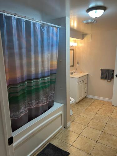 a bathroom with a shower curtain and a toilet at 2 basement basement with parking in Richmond Hill