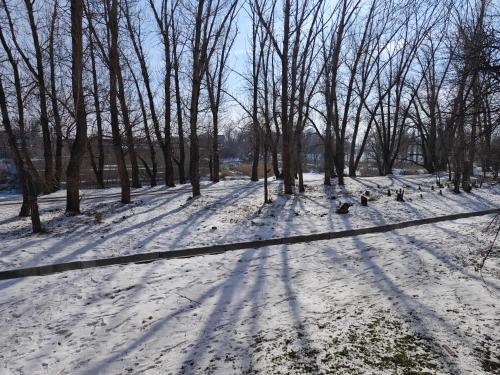 a group of ducks walking in a snow covered park at Квартира LUX, Lux apartment in Taraz