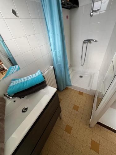 une salle de bain avec une douche, un lavabo et une baignoire dans l'établissement Logements Gare Brignoud, à Villard-Bonnot