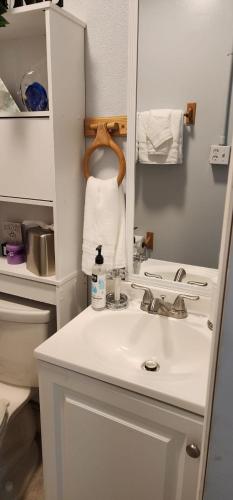 a bathroom with a white sink and a toilet at Sweet Studio in Sarasota in Sarasota