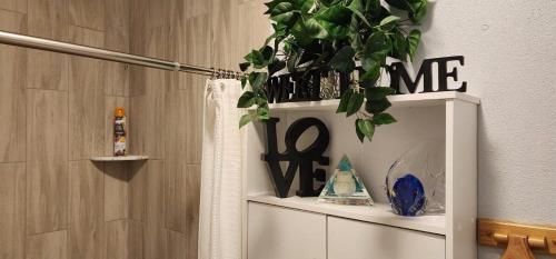 a white shelf with a plant on top of it at Sweet Studio in Sarasota in Sarasota