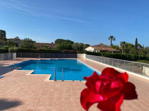 - une fleur rouge en face d'une piscine dans l'établissement Maison au calme dans le var, à Roquebrune-sur Argens