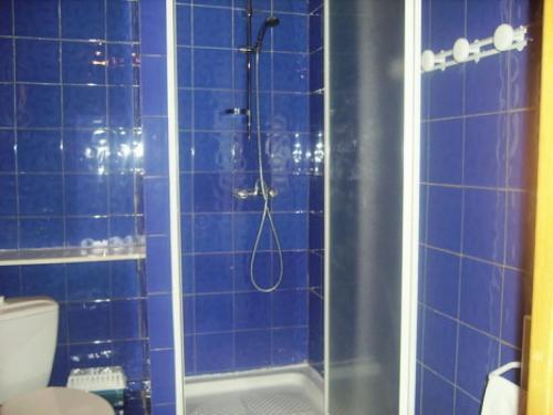 a blue tiled bathroom with a shower and a toilet at Appartement 8 pers. avec vue montagne 70848 in Saint-Sorlin-dʼArves