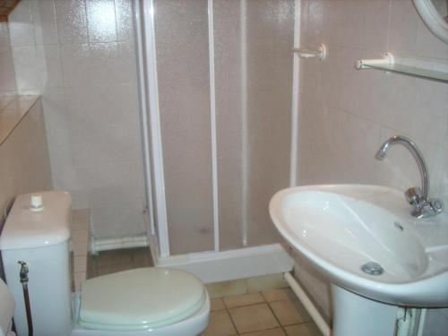 a bathroom with a shower and a toilet and a sink at Appartement 8 pers. avec vue montagne 70848 in Saint-Sorlin-dʼArves