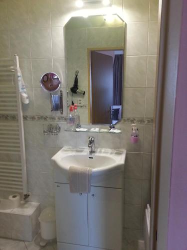 a bathroom with a sink and a mirror at Pension Villa Marit in Prague