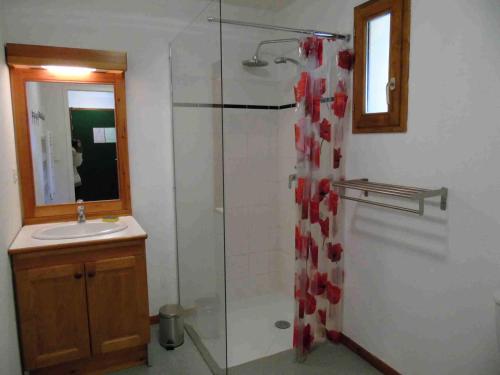 une salle de bain avec douche et lavabo dans l'établissement Chalet Arrondaz - 2 Pièces pour 4 Personnes MAE-8794, à Modane