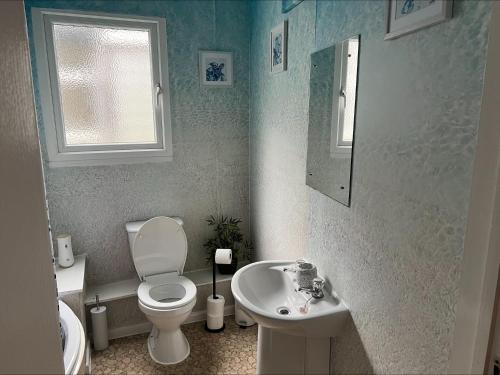 a bathroom with a toilet and a sink at Golden Lion in Brixham