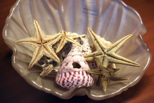 two starfish are sitting on a glass plate at The Stunning B&B in Peschici