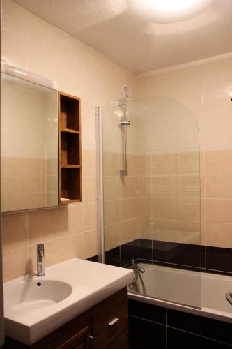 une salle de bain avec un lavabo et une douche dans l'établissement Résidence Lac Blanc - VAL THORENS location: studio pour 4 personnes oriénté sud ouest résidence Lac Blanc MAE-9050, à Val Thorens