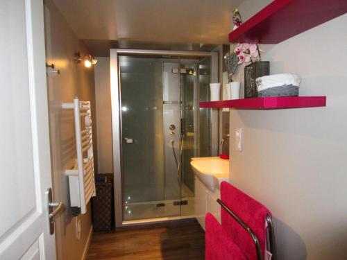 a bathroom with a shower and a sink at Gîte de France Gîte de la barbacane 3 épis - Gîte de France 5 personnes MAE-8884 in Curemonte