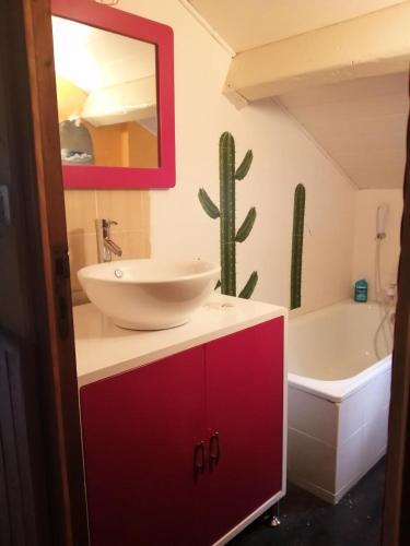 La salle de bains est pourvue d'un lavabo et d'un cactus sur le mur. dans l'établissement Appartement 3 pièces 5 personnes chaleureux avec vue montagne - 3 Pièces 5 personnes MAE-7735, à Aussois