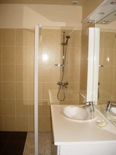 une salle de bain avec un lavabo et une douche dans l'établissement Gîte de France à Chamberet 3 épis - Gîte de France 4 personnes MAE-9374, à Chamberet