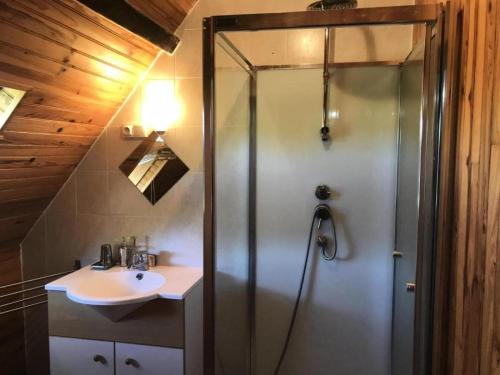a bathroom with a shower and a sink at Gîte de France "les volets bleus" épis - Gîte de France 484 in Espartignac