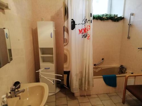 une salle de bain avec une douche, un lavabo et une baignoire dans l'établissement Gîte de France Gîte communal 2 épis - Gîte de France 3 personnes MAE-9604, à Saint-Hilaire-les-Courbes
