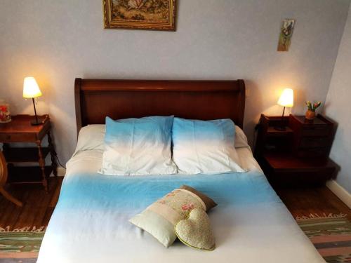 een slaapkamer met een bed met 2 kussens erop bij Gîte de France à Albussac 3 épis - Gîte de France 2 personnes 614 in Albussac