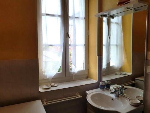 une salle de bain avec un lavabo et une fenêtre dans l'établissement Gîte de France Les hortensias 3 épis - Gîte de France 2 personnes MAE-9614, à Albussac